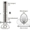 ZOOM SSH-6 - mid-side stereo shotgun mic capsule for H5, H6, H8, Q8, U-44, F4, and F8 - Image 8