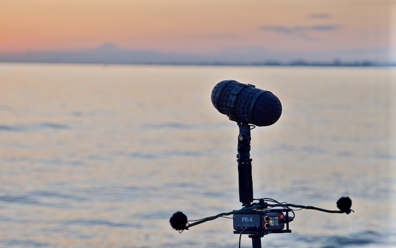 Deity PR-4 Metal Cage with Integrated ORTF Mic Mount - Image 6
